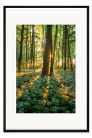 Gerahmter Kunstdruck Wilder Knoblauch