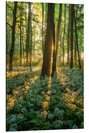 Magnettafel Wilder Knoblauch