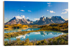 Holzbild Nationalpark Torres del Paine