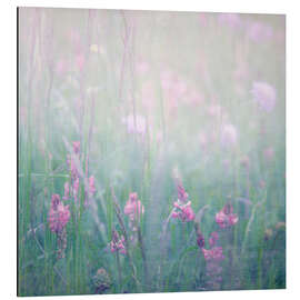 Aluminium print Flower meadow