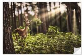 Naklejka na ścianę Deer in the sunlight