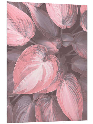 Tableau en PVC Hosta rose