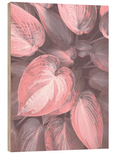 Quadro de madeira Pink Hosta