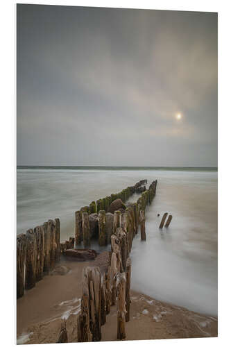 Bilde på skumplate Mystical groyne on Sylt IV