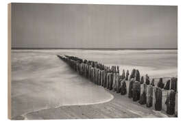 Tableau en bois Épis mystiques à Sylt III