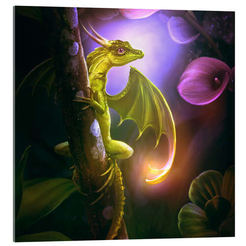 Acrylic print Flower dragon