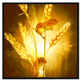 Gerahmter Kunstdruck Zwei Mäuse