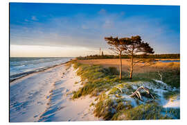 Aluminiumsbilde Evening Light on West Beach