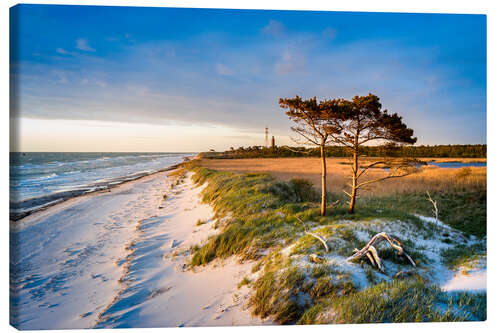 Lerretsbilde Evening Light on West Beach