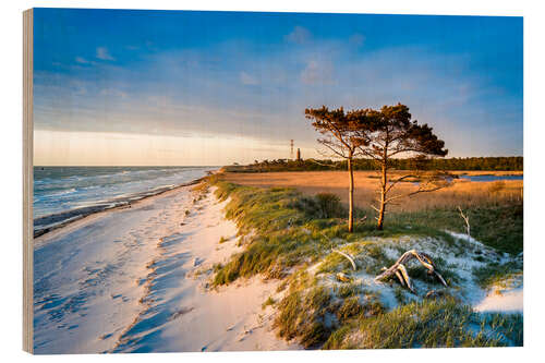 Holzbild Abendlicht am Weststrand