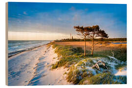 Stampa su legno Evening Light on West Beach