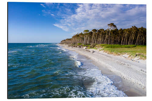 Aluminium print Baltic Sea beach on the Darss