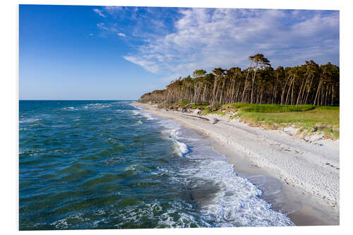 Foam board print Baltic Sea beach on the Darss