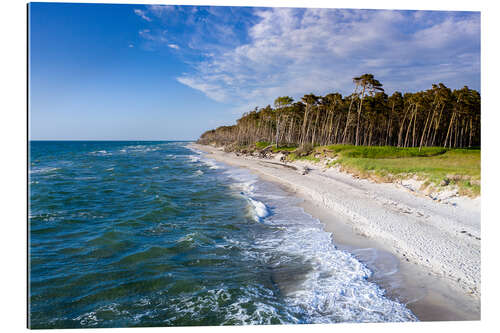 Gallery print Baltic Sea beach on the Darss