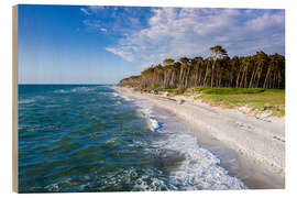 Hout print Baltic Sea beach on the Darss