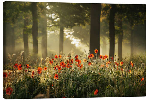 Canvas print The poppy forest