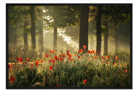 Gerahmter Kunstdruck Der Mohnwald
