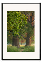 Gerahmter Kunstdruck Die alten Eichen
