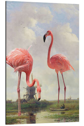 Tableau en aluminium Flamants roses à la pêche