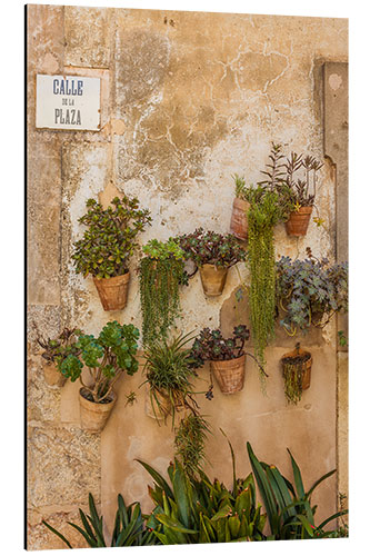 Aluminium print Flower pots on a house wall in Valldemossa, Mallorca