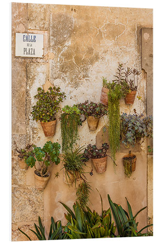 Foam board print Flower pots on a house wall in Valldemossa, Mallorca