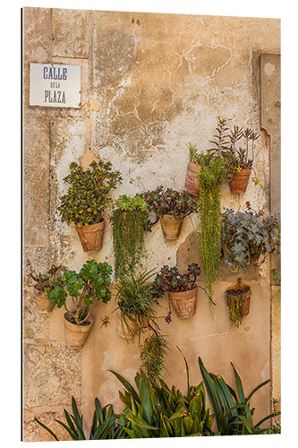 Gallery print Flower pots on a house wall in Valldemossa, Mallorca