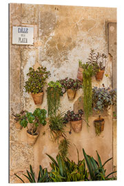 Gallery print Flower pots on a house wall in Valldemossa, Mallorca