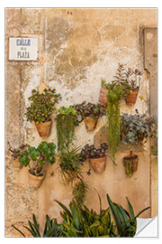 Wall sticker Flower pots on a house wall in Valldemossa, Mallorca