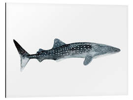 Magnettafel Sea Life Walhai