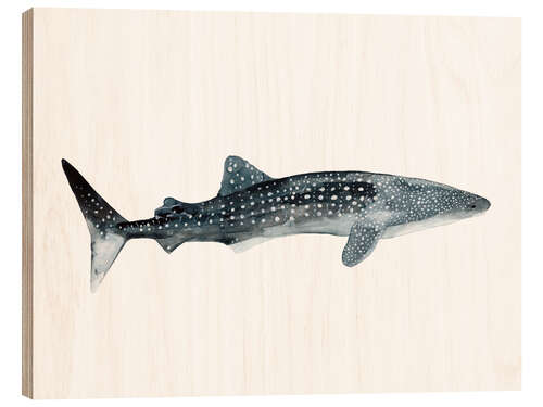 Wood print Sea Life   Walhai