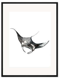 Gerahmter Kunstdruck Sea Life Mantarochen