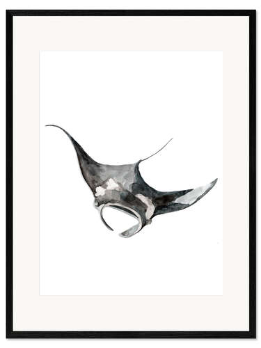 Impresión de arte enmarcada Sea Life   Mantarochen
