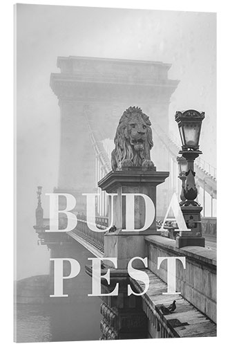 Acrylic print Cities in the rain: Budapest