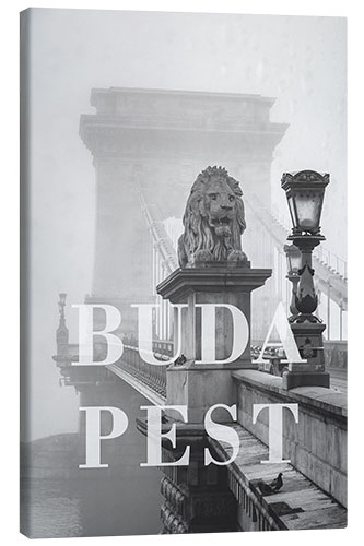 Stampa su tela Città sotto la pioggia: Budapest