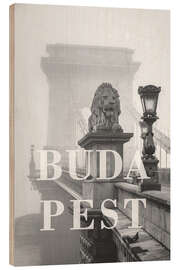 Holzbild Städte im Regen: Budapest - Christian Müringer
