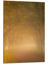 Magnettafel Walnussbäume in goldenem Licht