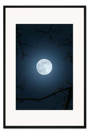 Gerahmter Kunstdruck Vollmond im Nachthimmel