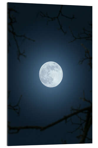 Gallery print Full moon in the night sky