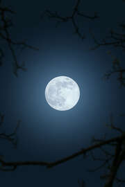 Magnettafel Vollmond im Nachthimmel