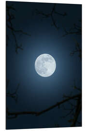 Magnettafel Vollmond im Nachthimmel