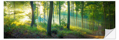 Sisustustarra Forest panorama