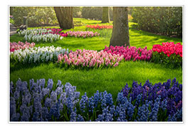 Poster Keukenhof parkland with early bloomers