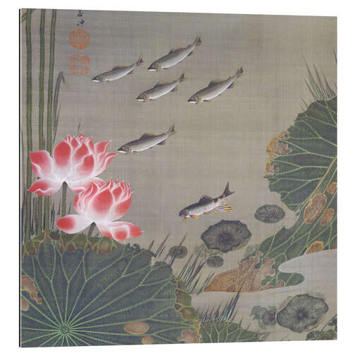 Gallery print Pond with fish