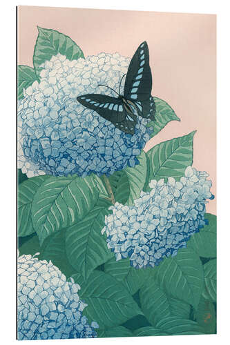 Gallery Print Hortensie und Schmetterling