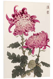 Foam board print One hundred chrysanthemums