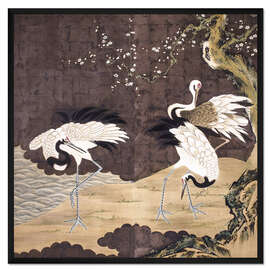 Gerahmter Kunstdruck Weiße Kraniche