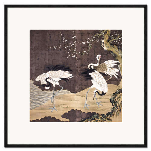 Framed art print White cranes