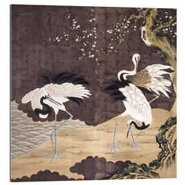 Gallery print White cranes