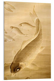 Gallery print Carp