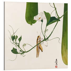 Magnettafel Heuschrecke auf Kürbis Weinstock